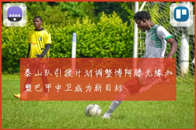 泰山队引援计划调整博阿滕无缘加盟巴甲中卫成为新目标