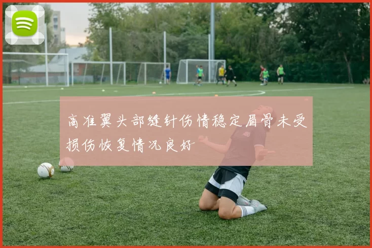 高准翼头部缝针伤情稳定眉骨未受损伤恢复情况良好